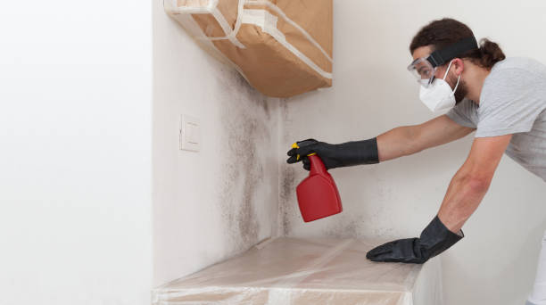Professional Black Mold Removal technician working in Lakeside, TX